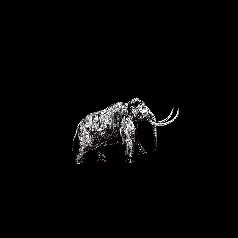 Humour Camping-car évolution