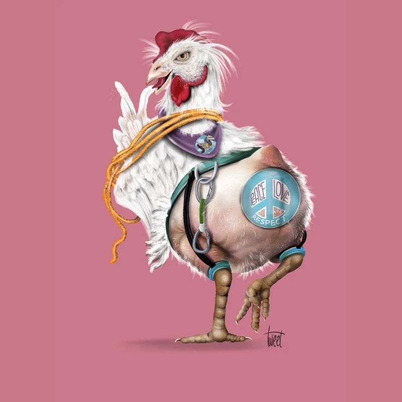 Crazy chicken