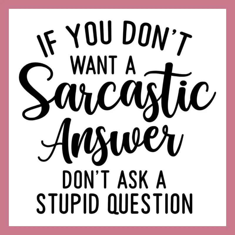 DONT ASK A SARCASTIC QUESTION