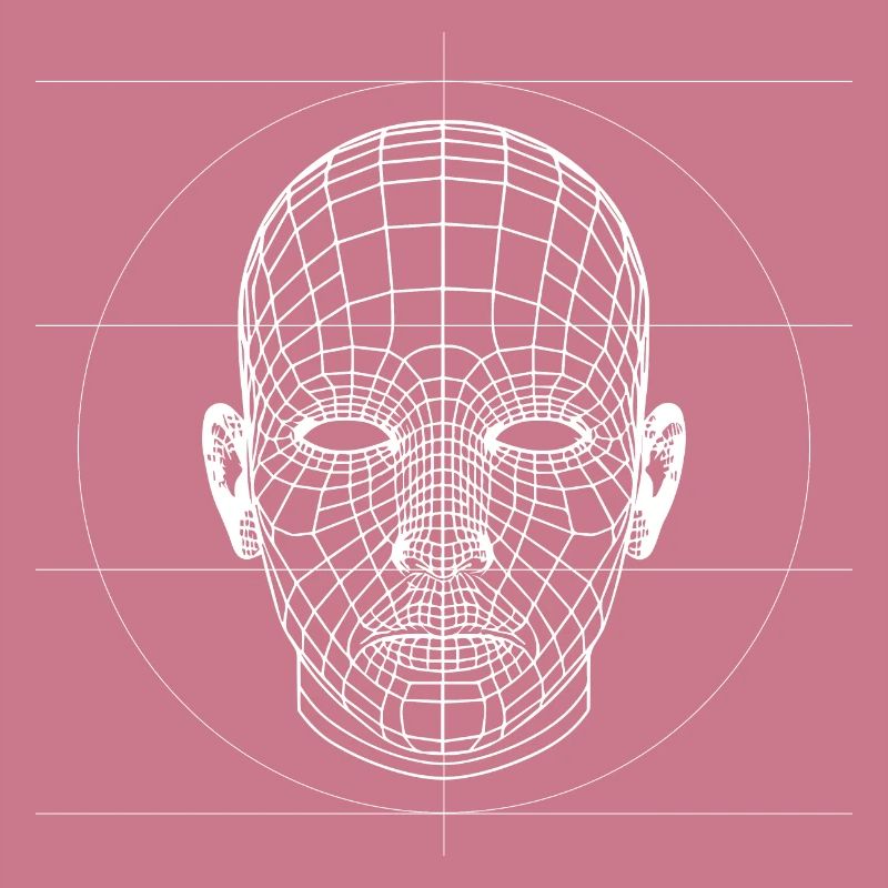 Tête de wireframes 3D