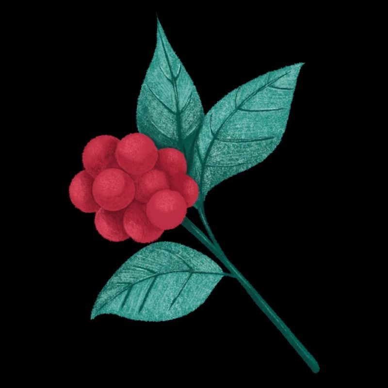 Branche avec des baies rouges