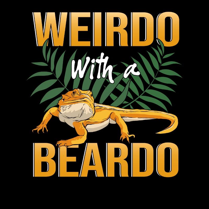 Lizard Terrarium Bartagame Pet Lizard Owner