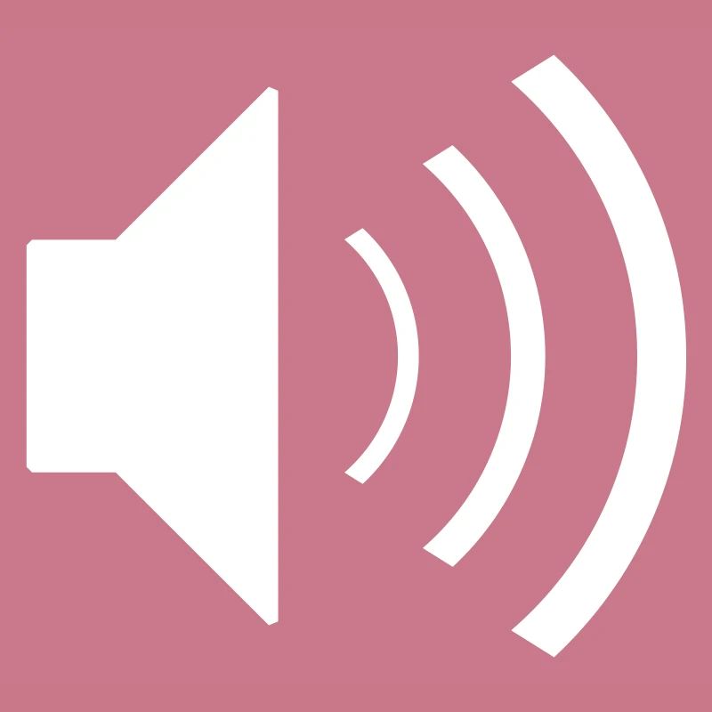 Speaker PC Computer icon