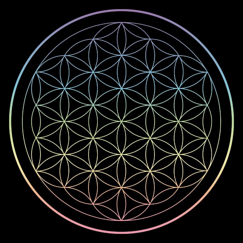 Fleur de Vie Rainbow Chakra Couleurs