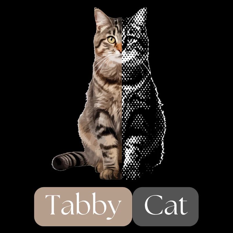 Tabby cat