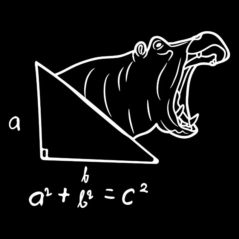 Théorème de l’hypoténuse de Pythagore pour les professeurs de mathématiques