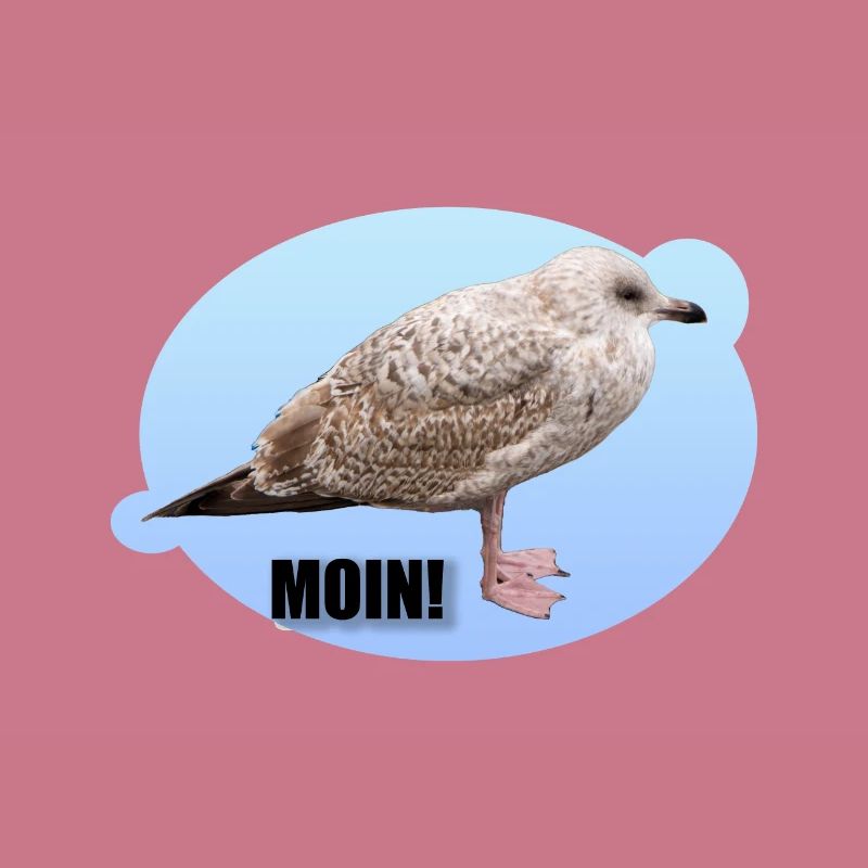Möwe