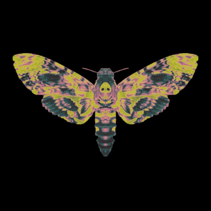 Skull swarmer