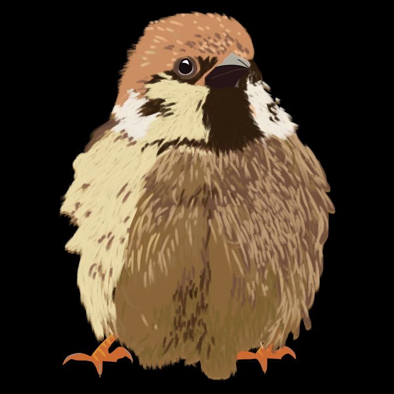 Oiseau de moineau