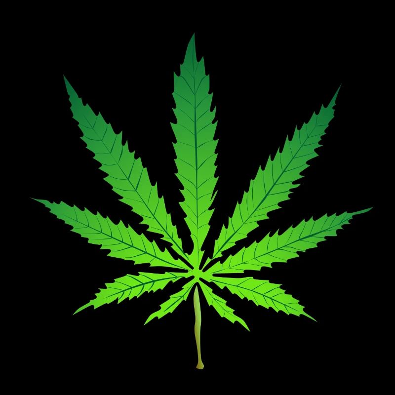 Fumer du haschich de cannabis