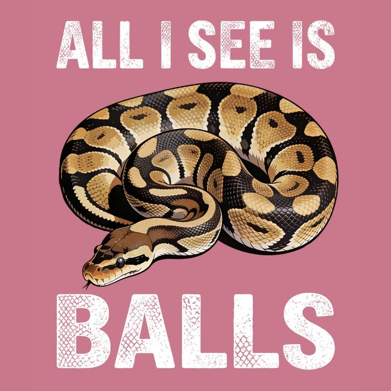 Königspython Schlangen Liebhaber Terrarium Python