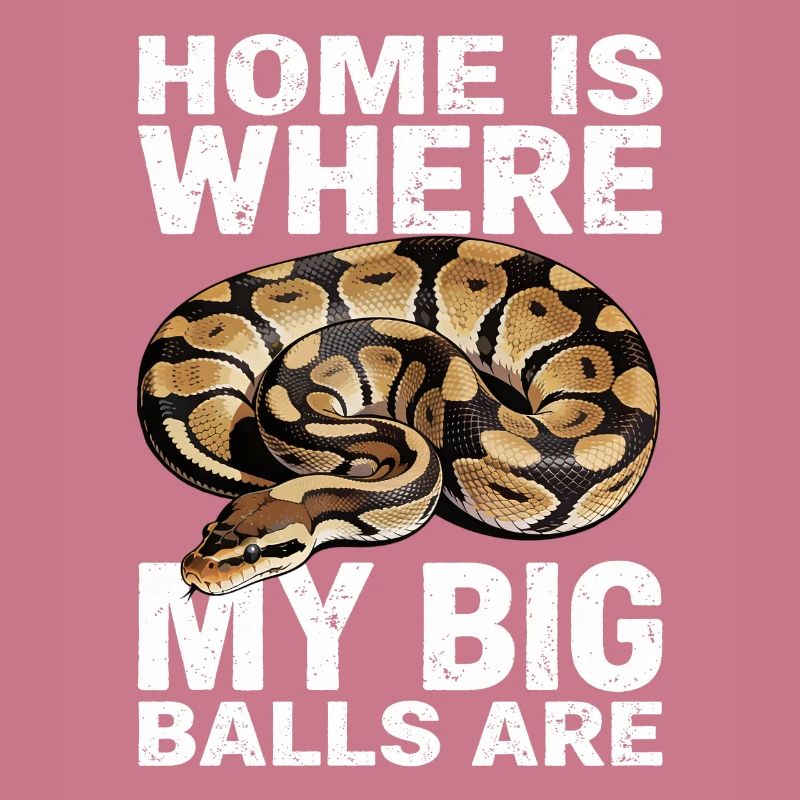 Python roi Serpents Amateurs de terrarium Python