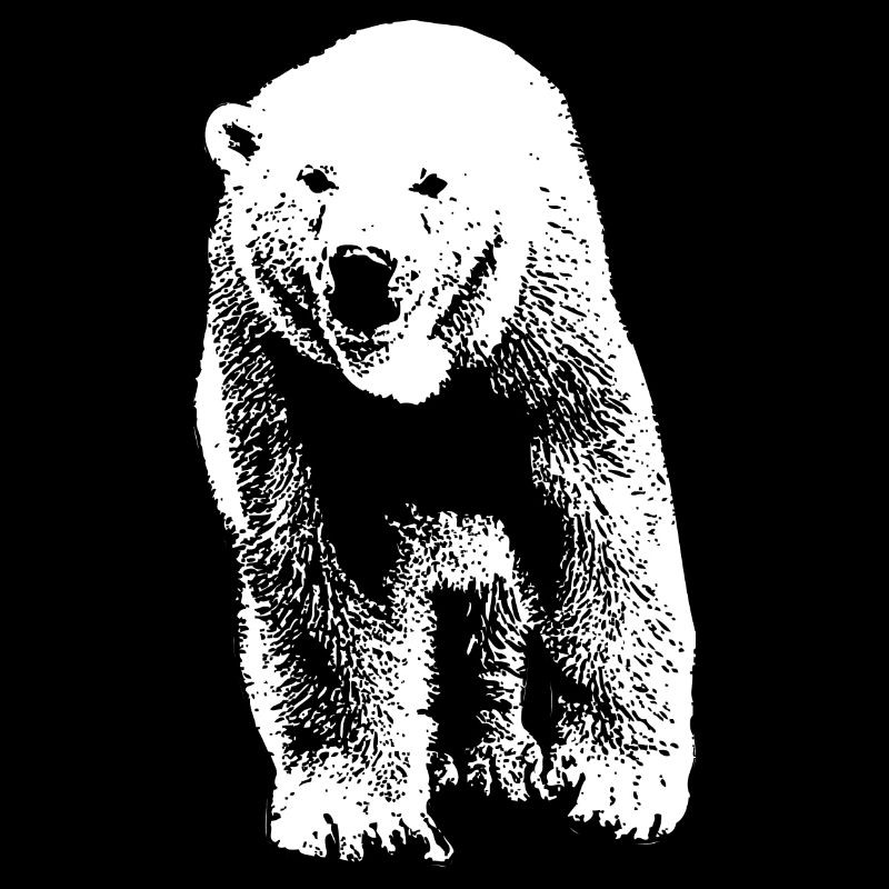 Polar Bear - Eisbär