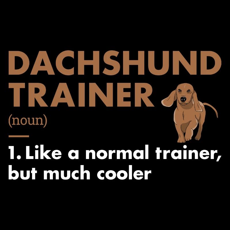 Définition du teckel Trainer