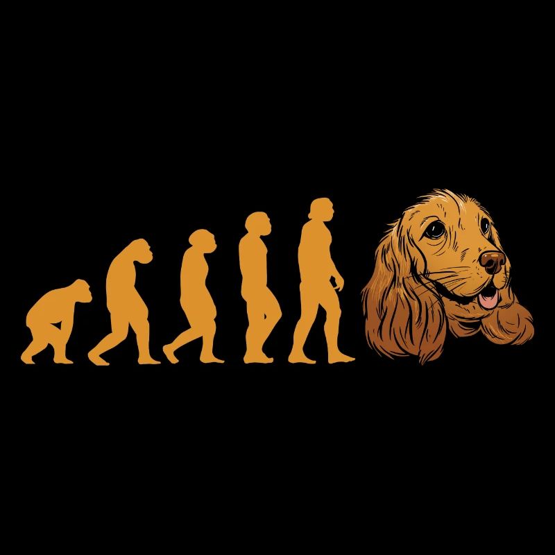 Évolution du chien Corgi