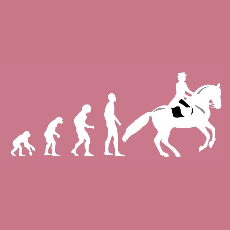 Evolution équitation - cheval - cavalier - cavalier