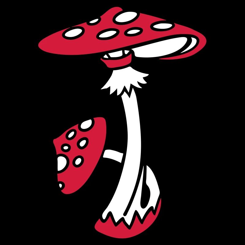 Fly agaric, Toadstool, Magic Mushroom, Psychedelic