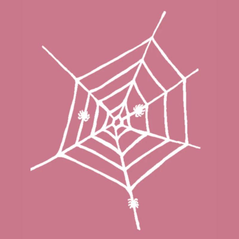 Spider web white
