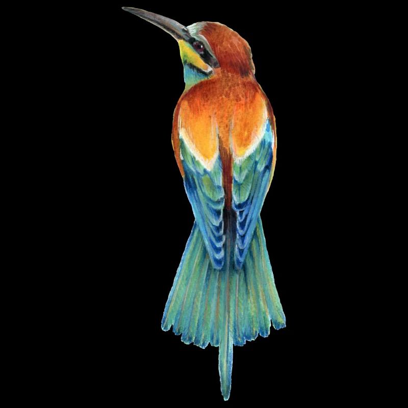 Bee-eater