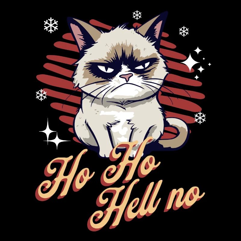 Chat en colère Noël Sarcastique Chat drôle Meme