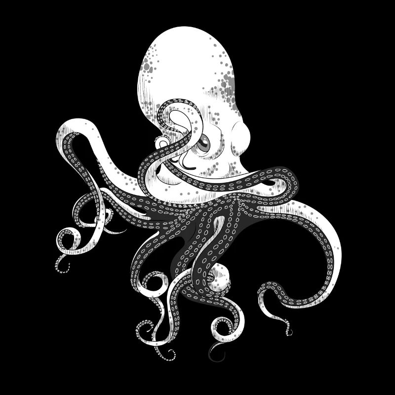 octopus, octopus, squid, seafood, calamari