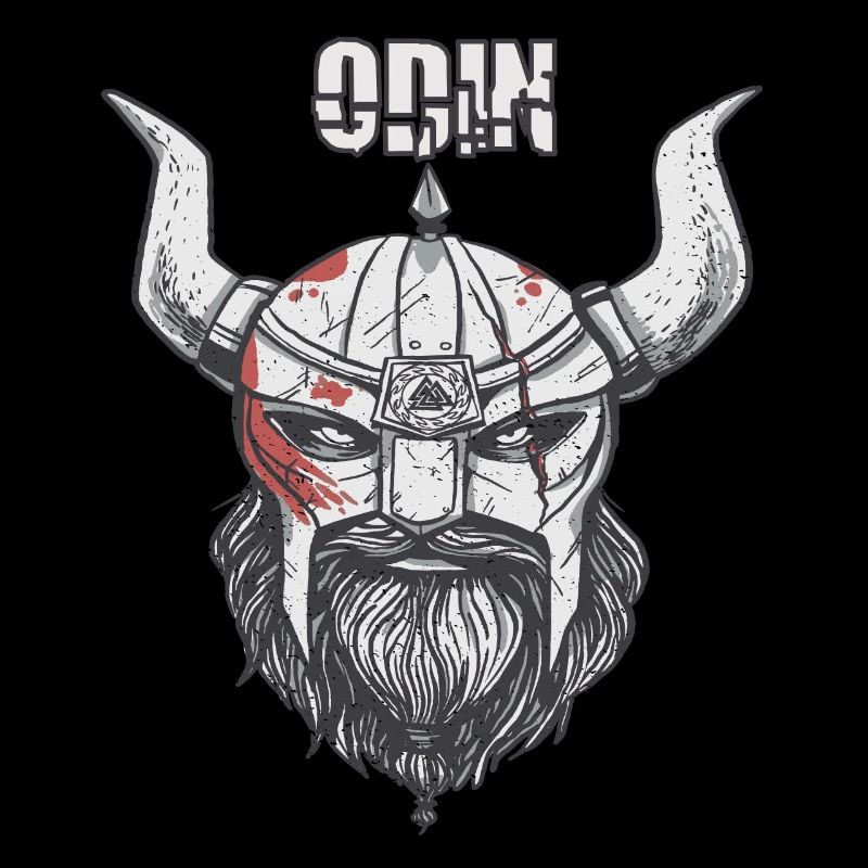 Viking Ragnar Odin Valhalla Warriors Mythology