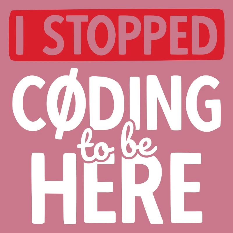 Software Ingenieur Informatiker Programmierer