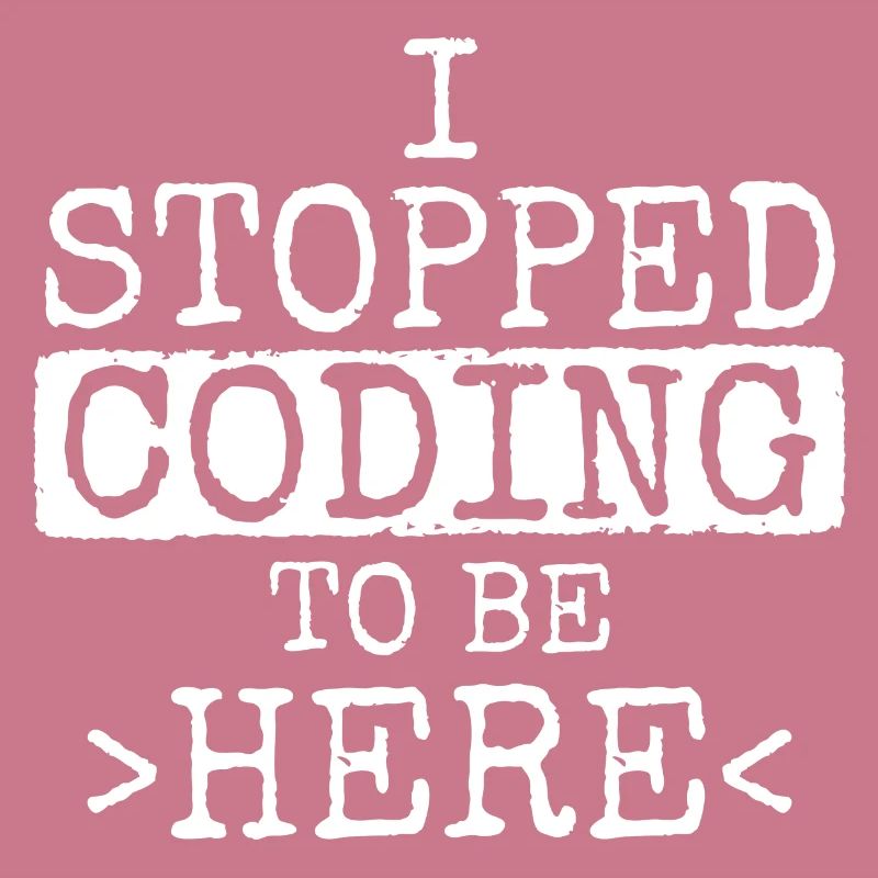 Software Ingenieur Informatiker Programmierer