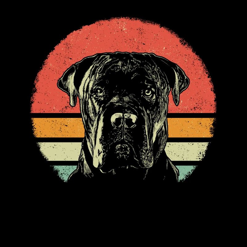 Cane Corso Hund