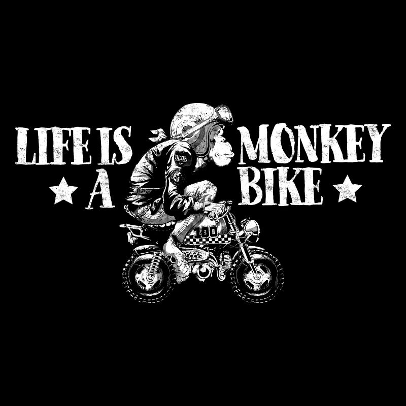 Vélo de singe