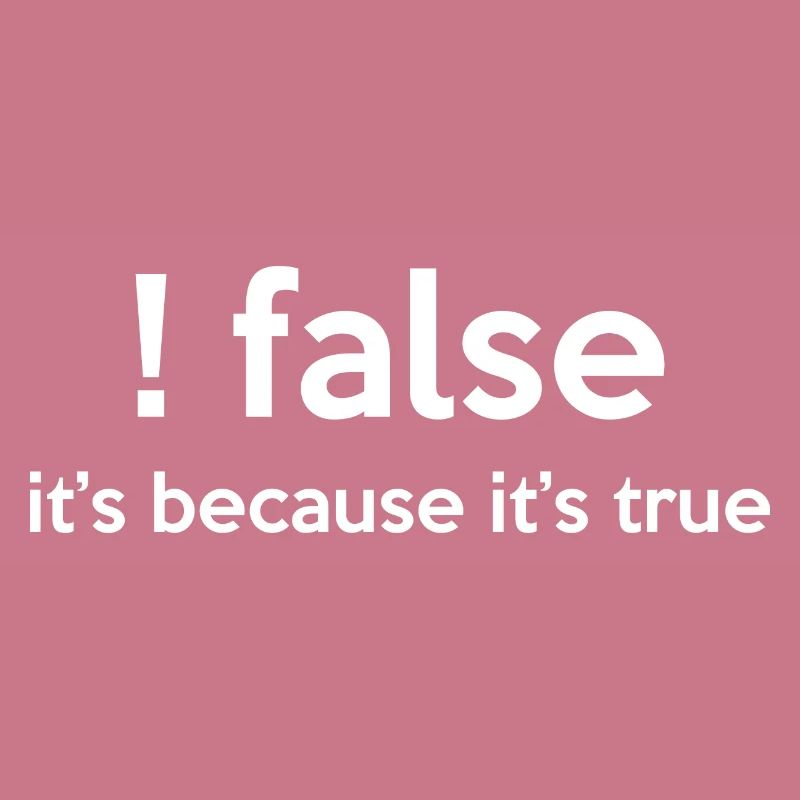 False It's Funny Because It's True Programmer Comp