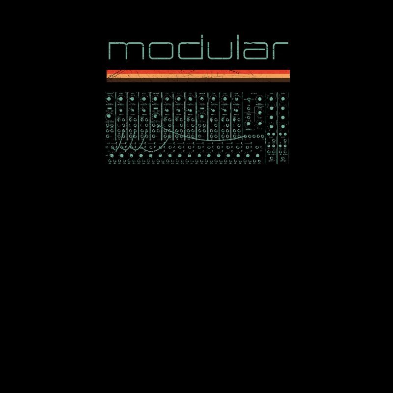 Vintage Modular Synthesizer - Analog DIY Synth