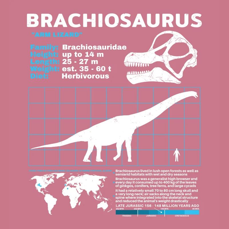 Brachiosaurus Datenblatt
