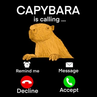 Mème Capybara