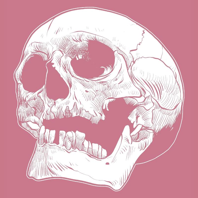 Skull skull skull bone head human