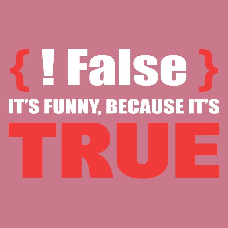 False It's Funny Because It's True Programmierer