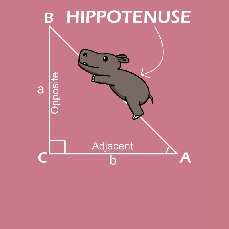 Math Hippotenuse Hypotenuse Math Teacher