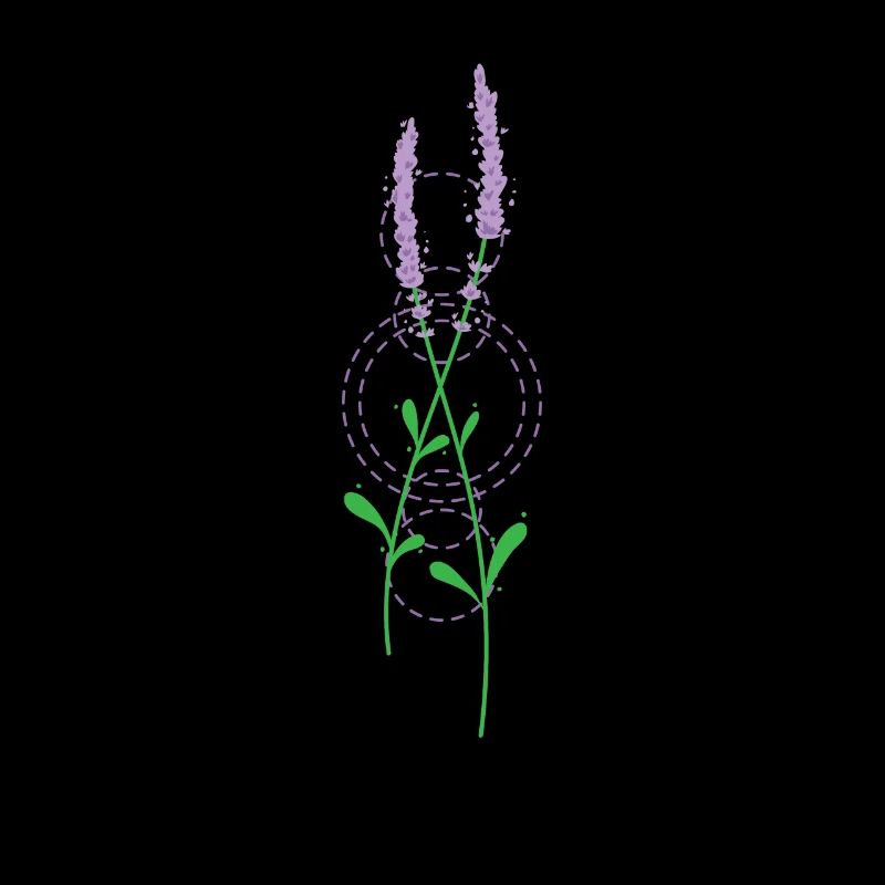 Lavendel Pflanze Garten Duft Aroma