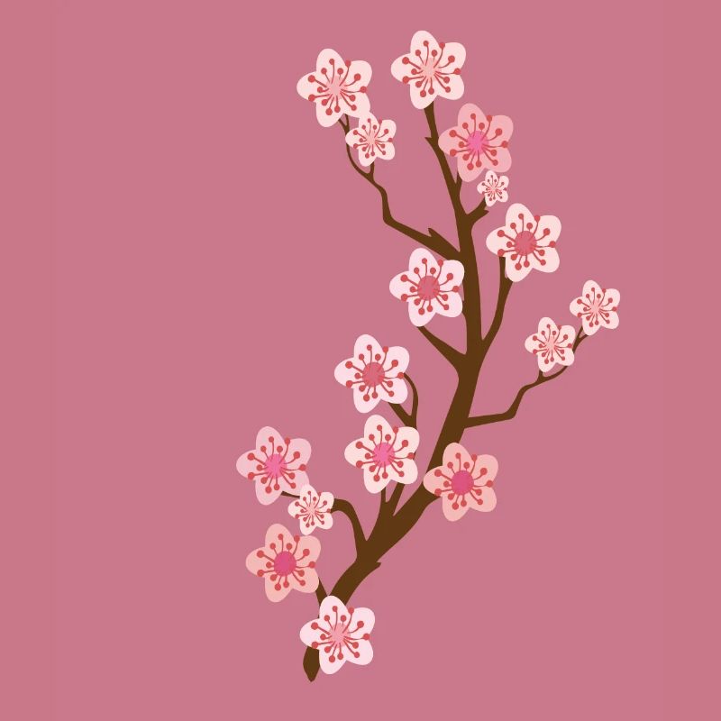 kirschblüte