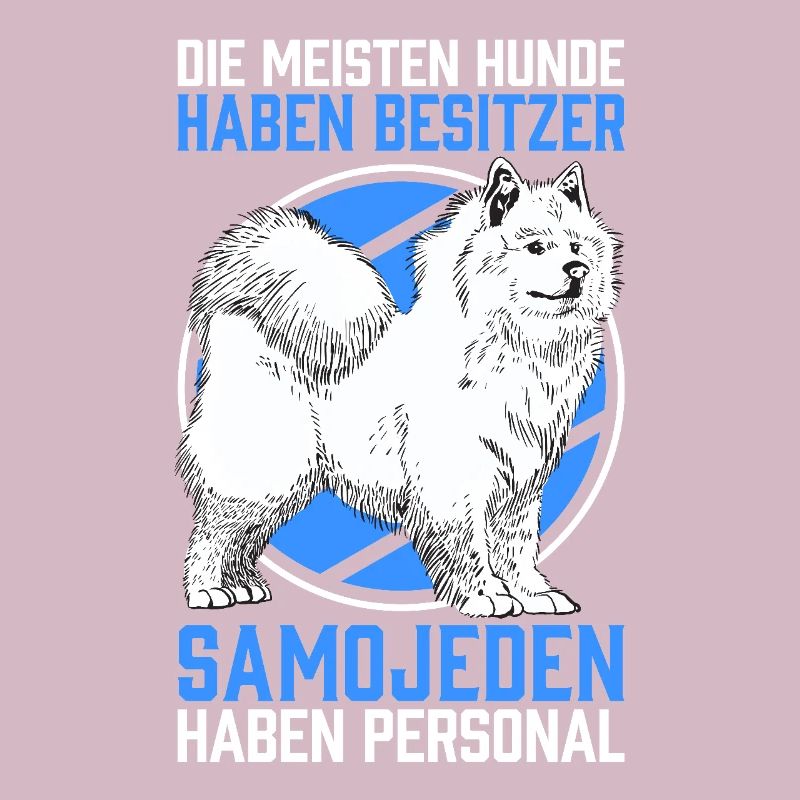 Samojede Personal Schlittenhund Samojedenspitz