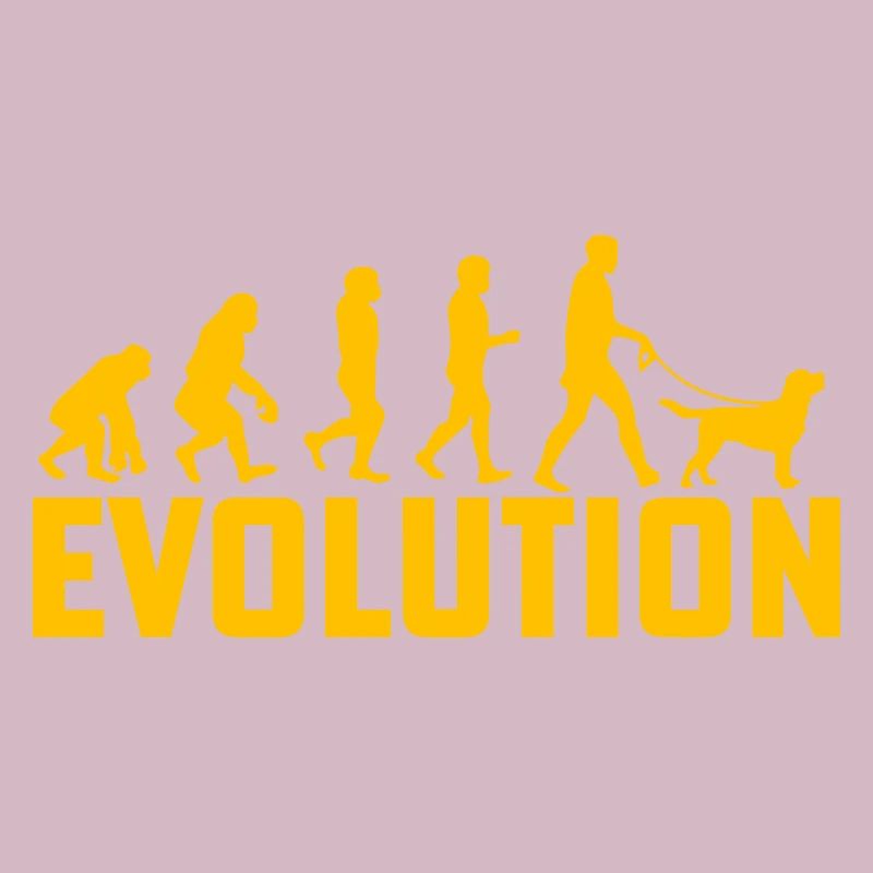 Évolution du Labrador