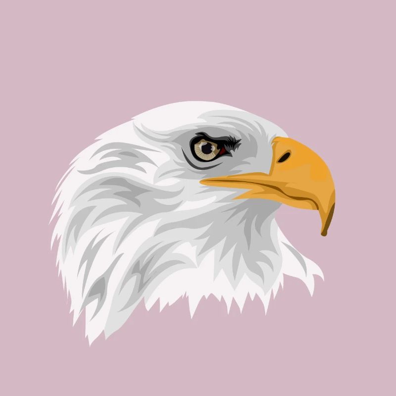 Bald eagle head with beak as a drawing