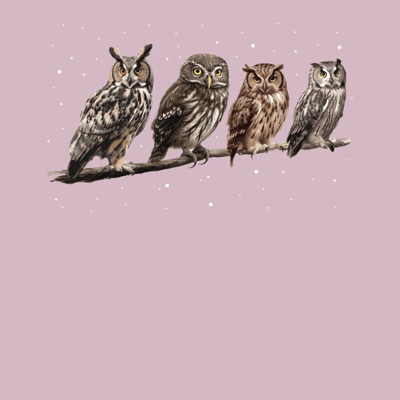 Nachteule Eule Eulen Vogel