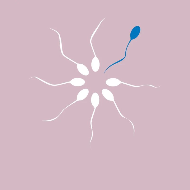 Be different Sei Anders Sperma Spermien Spermling