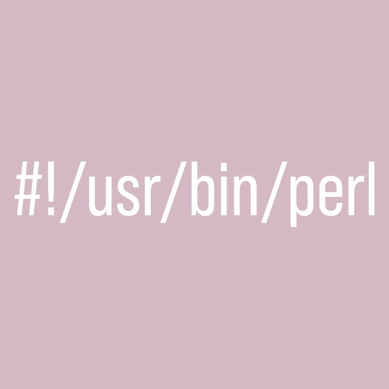 Usr Bin Perl Programmer Programming Languager Meme