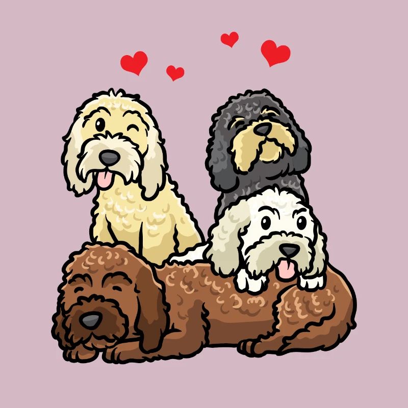 Cockapoo Hund Cockerpoo