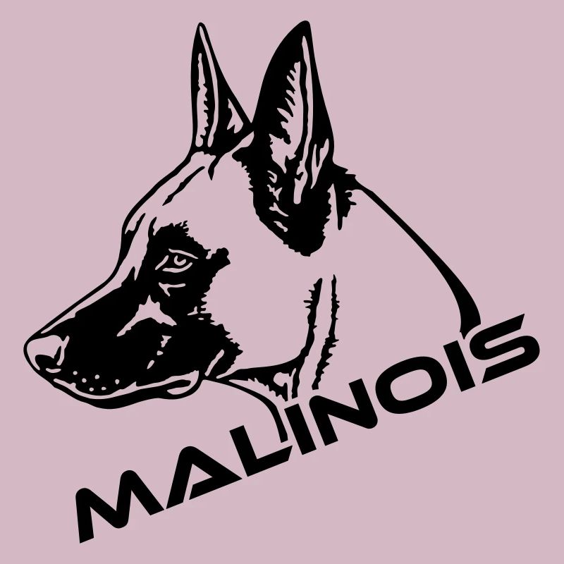 536 Malinois