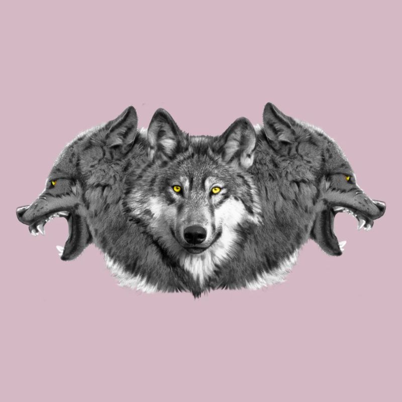 Wolf wolf pack