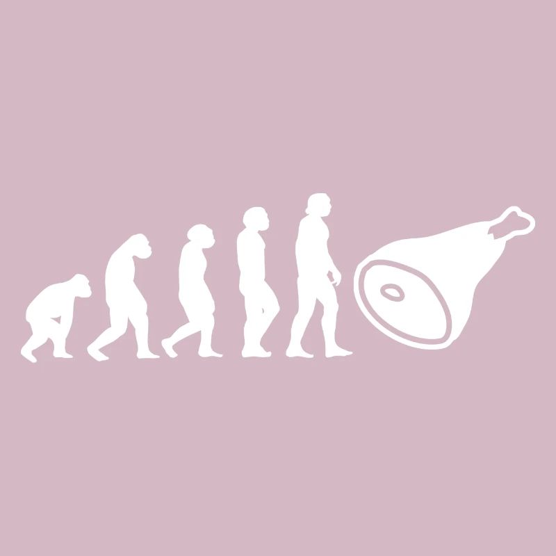 Evolution Fleischer