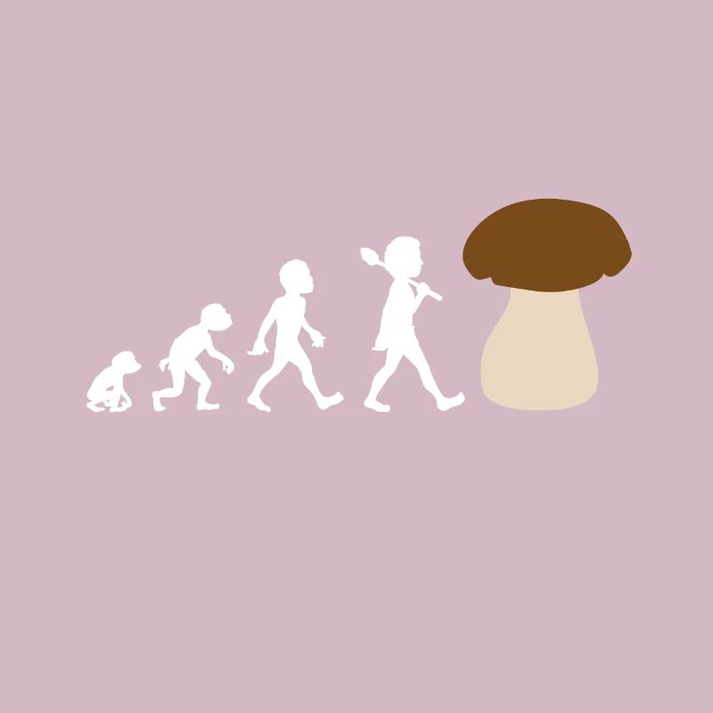 Conception de l'évolution d'un cèpe